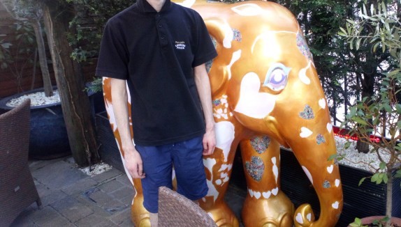 Elephant_Jul2020_Cropped